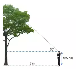 aplikasi perbandingan trigonometri