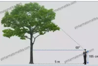 aplikasi perbandingan trigonometri